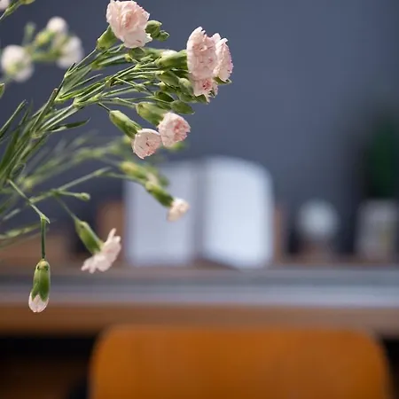 Atelier Leonhardszimmer - Tolle Location In Stuttgarter Innenstadt 아파트 슈투트가르트